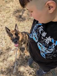 This girl just showed up to our house in Lorena. Very sweet but no tag! If  you know who she belongs to please reach out to me.