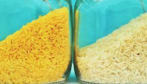 This vitamin is naturally found in in fact, using this gene helped minimize the genetic modification needed to create golden rice. What S Keeping Golden Rice From Feeding The World Futurity