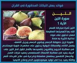 Pin On أسرار الإعجاز العلمي في الآيات البي نات والسن ة