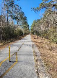 E-bikes For People Over 50