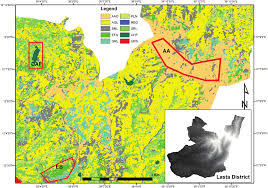 Image result for Oreophyton falcatum