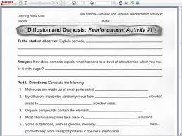 Diffusion And Osmosis 9th 10th Grade Worksheet Lesson Planet Graphing Quadratics Biology Worksheet Diffuser
