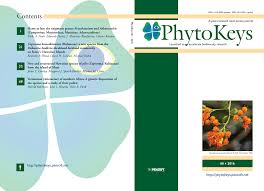 Image result for Distephanus divaricatus