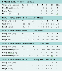 Shoe Specifications And Sizing Glue On Horseshoes By Sound