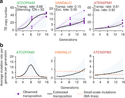 Terms in this set (25). Transposition Favors The Generation Of Large Effect Mutations That May Facilitate Rapid Adaption Nature Communications