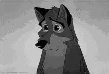We did not find results for: Sad Wolf Gifs Tenor