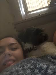 Missing dog found near Harrisburg Road NE