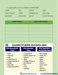 Much, many, little, few, some, any. Count And Noncount Nouns Quantifiers Worksheet