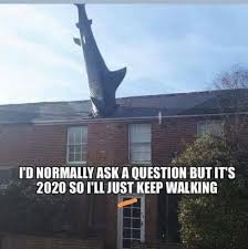 Pin By Liv Nijs On 2020 Wtf Crazy Funny Memes Haha Funny Funny Jokes