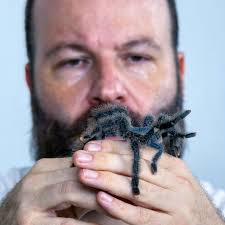 One Health, infectious disease, zoonosis, emerging viruses