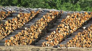 Maybe you would like to learn more about one of these? Bois De Chauffage Bergerie De Berdine