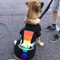 1229 w king st, cocoa, fl Working At Books A Million Glassdoor