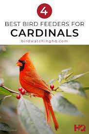 The 4 Best Bird Feeders For Cardinals That Actually Work Bird Watching Hq Best Bird Feeders Wild Birds Backyards Bird Feeders