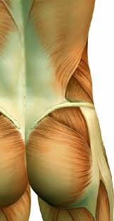 Sometimes, lower back pain on the right side is caused by muscle pain. Lower Back Pain Physiotherapy Lumbar Spine Pain Physio Treatment