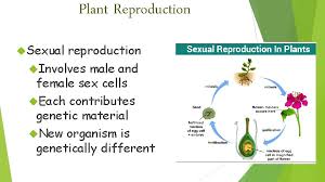 Maybe you would like to learn more about one of these? Plants For Each Statement Write True Or False