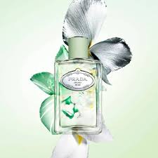 Prada Infusion D'Iris Eau de Parfum es uno de los meores perfumes para mujer de prada