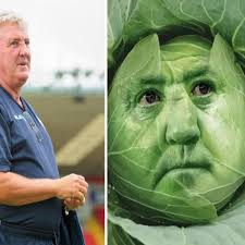 This article is a bit disorganised or messy. Newcastle United Fans Hijack Steve Bruce Announcement With Hilarious Memes Daily Star