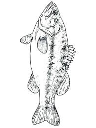 Dont panic , printable and downloadable free double bass coloring page coloring pages we have created for you. Bass Clef Coloring Pages Learny Kids
