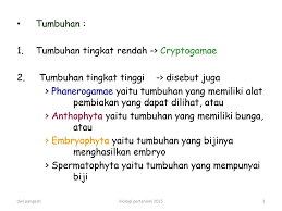 Tumbuhan tingkat tinggi (laporan praktikum lapang). Klasifikasi Tumbuhan Ppt Download