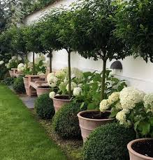 51 Beautiful Small Backyard Fence And Garden Design Ideas For Your Home 10 Autoblog Diy Backyard Landscaping Backyard Garden Design Boxwood Garden