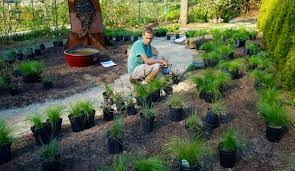 Internships Seed Your Future