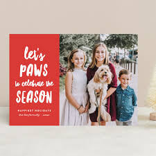 See more ideas about christmas dog, christmas pictures, cute animals. The Ultimate Christmas Pet Photos Guide Minted