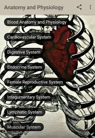 An amazing application that combine physiology with anatomy, and no ads as well. Top 30 Free And Essential Anatomy And Radio Anatomy Android Apps For Medical Students And Doctors