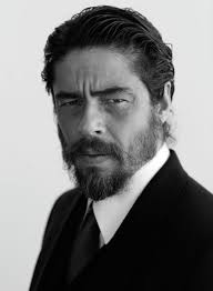 Lorenzo Salgado Gaeta (lorenzosalgadogaeta)