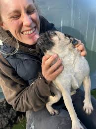 Archway Boarding Kennels added...