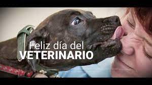 El amor de una madre es el combustible que hace que un ser logre lo imposible. Dia Del Veterinario Youtube