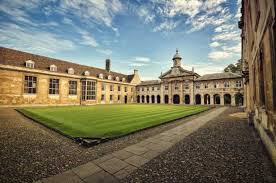 Image result for universities