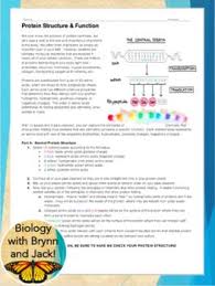 The philosophical chairs activity will allow the students to verbally articulate an argumentative position while specifically using textual evidence in order to be able to defend his. Protein Folding Activity With Mutations Protein Folding Mutation Biology Lessons