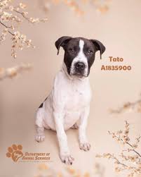 Meet Alejandra Robles