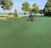 What is verticutting and why is it beneficial?