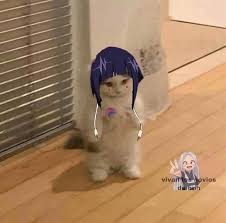 Pin By Ben Bir Kediyim Miyuw On Avatar Meo In 2020 Cute Baby Animals Cat Memes Cat Dressed Up