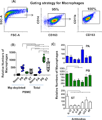 Be sure to verify that your cytometer configuration and software setup are. Crosstalk Between Leukocytes Triggers Differential Immune Responses Against Salmonella Enterica Serovars Typhi And Paratyphi