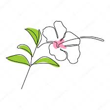 Sketching is a kind of study. Beautiful Flower One Line Continuous Drawing Style Jasmine Balinese Flower Minimalist Design Beauty Fresh Evergreen Jasmine Flower For Garden Logo Top View Vector Design Illustration Premium Vector In Adobe Illustrator Ai