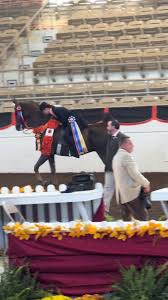 a dream come true!! still in awe over those orange roses 🧡🖤🧡 thank you  to everyone and thank you espceially to charlie, i love you more than words  #equestrian #equitation #horsesoftiktok #saddleseat ...