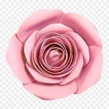 Download now for free this pink flowers background transparent png image with no background. Pink Flower On Transparent Background Png Similar Png