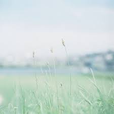 We did not find results for: é¢¨ã«ãªã‚‹ Mint Green Aesthetic Mint Aesthetic Green Aesthetic