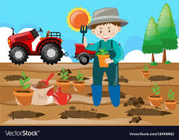 Farm Scene Farmer Planting Tree In The Field Vector Image On Vectorstock Trees To Plant Farm Scene Art Drawings For Kids