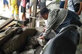 Check spelling or type a new query. Heboh Temuan Bangkai Kepala Kucing Di Dalam Karung Polisi Turun Tangan Halaman All Kompas Com