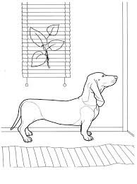 If you like what you see, please do share this page with your friends and family! 17 Dachshund Coloring Pages Ideas In 2021 Dachshund Coloring Pages Weiner Dog