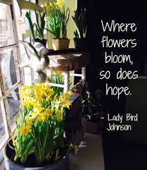 Gardening can be frustrating sometimes, so take inspiration from these garden quotes to recharge kevin is an avid gardener who loves reading related gardening and home improvement articles as. Garden Quotes