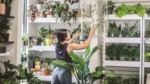 If we do trays cost of the trays & $25.00 a hr for one person. Plant Pricing Begins With Costs But Doesn T End There Garden Center Magazine