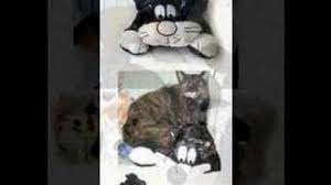 We did not find results for: Snugglesafe Heat Pad For Pets Zooplus Co Uk