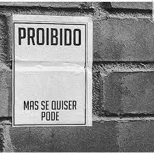 sigmundfreudexplica instahappy personalidade insta instagood instafrases frases pensamentos comportamento amor respe pensamentos mensagens instagram