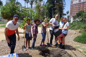 With greg peterson and janis norton. The Awesome Foundation Urban Fruit Trails Endless Orchard