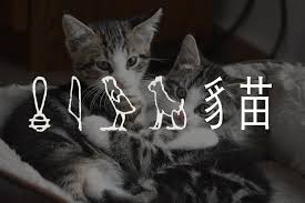 The cat's meow village is continuously offering supreme quality products and services from their existence. Meow Is Just Another Name For Cat Origin Of Alphabet