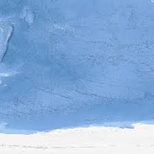 Image result for Monosis conferta